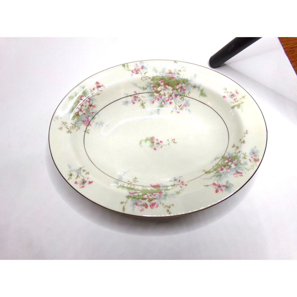 Rare Theodore Haviland New‎ York 10" Apple Blossom gold rimmed serving bowl